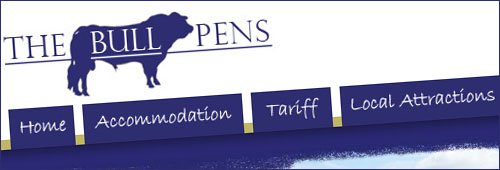 Click to visit website