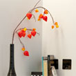 Kico Interior Design